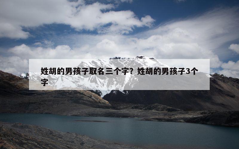 姓胡的男孩子取名三个字？姓胡的男孩子3个字