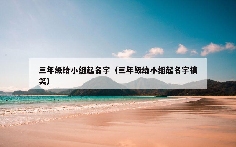 三年级给小组起名字（三年级给小组起名字搞笑）