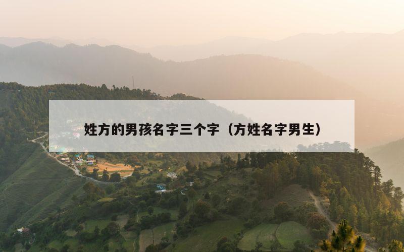 姓方的男孩名字三个字（方姓名字男生）