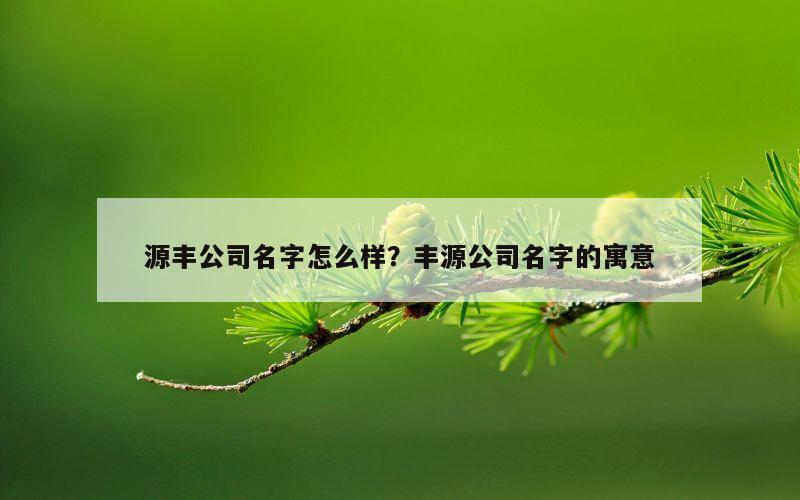 源丰公司名字怎么样？丰源公司名字的寓意