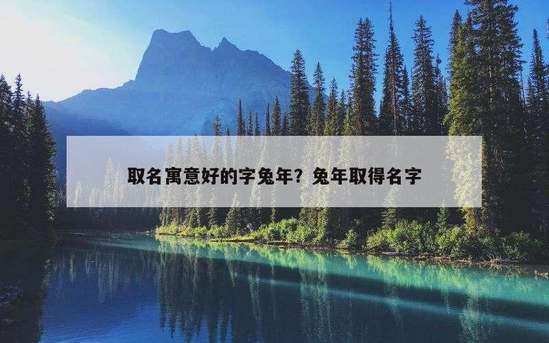 取名寓意好的字兔年？兔年取得名字