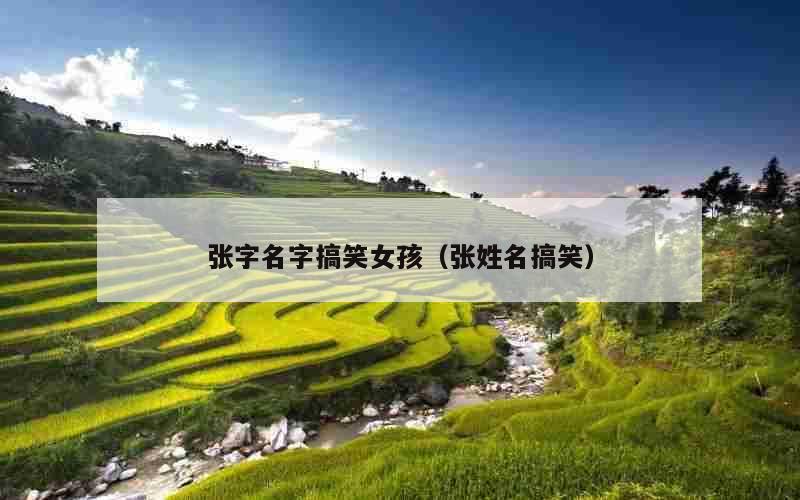 张字名字搞笑女孩（张姓名搞笑）