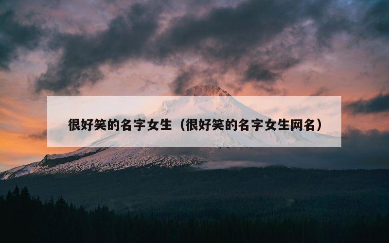 很好笑的名字女生（很好笑的名字女生网名）