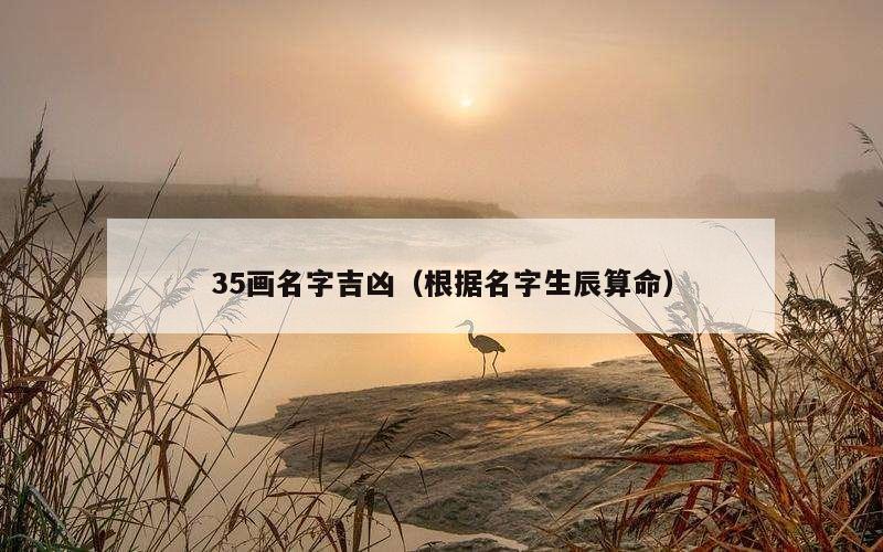 35画名字吉凶（根据名字生辰算命）