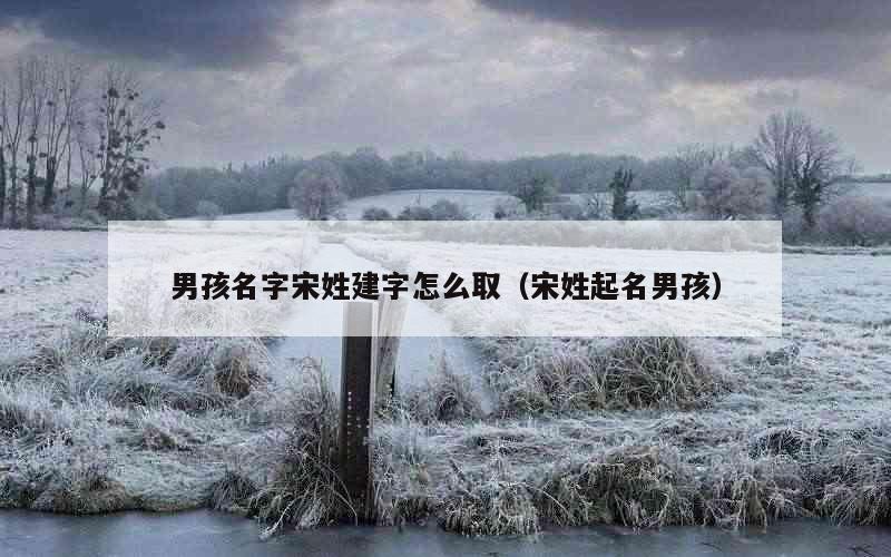 男孩名字宋姓建字怎么取（宋姓起名男孩）