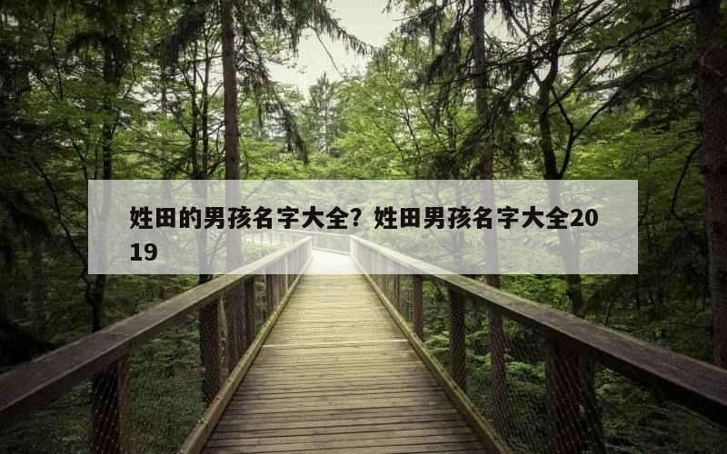 姓田的男孩名字大全？姓田男孩名字大全2019