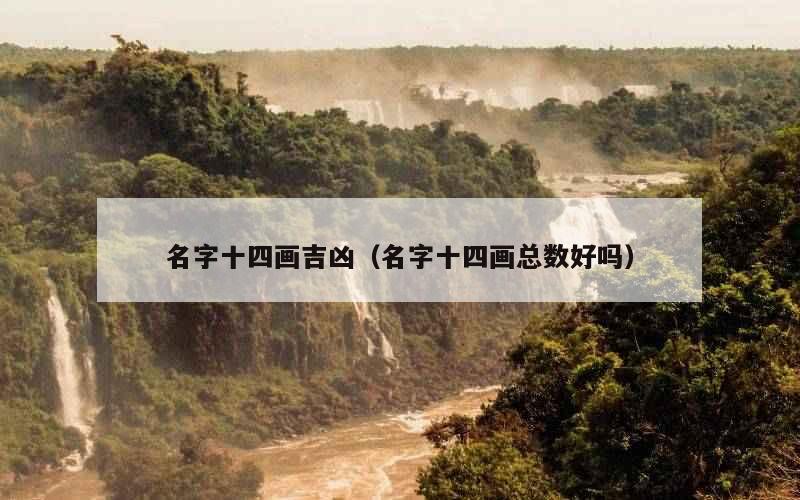 名字十四画吉凶（名字十四画总数好吗）