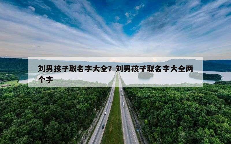 刘男孩子取名字大全？刘男孩子取名字大全两个字