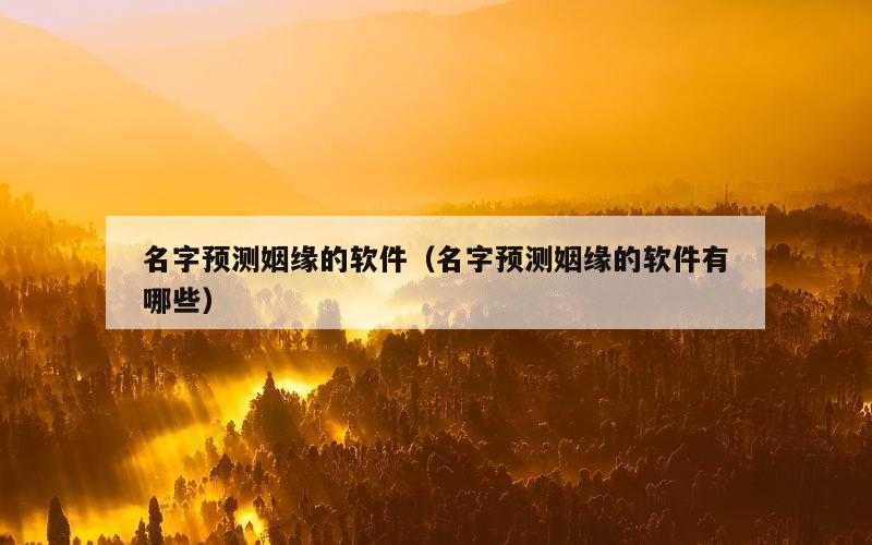 名字预测姻缘的软件（名字预测姻缘的软件有哪些）