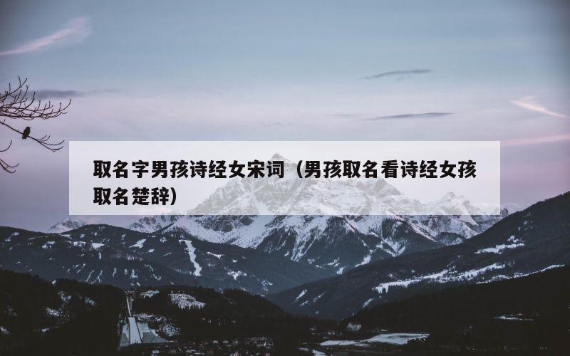取名字男孩诗经女宋词（男孩取名看诗经女孩取名楚辞）
