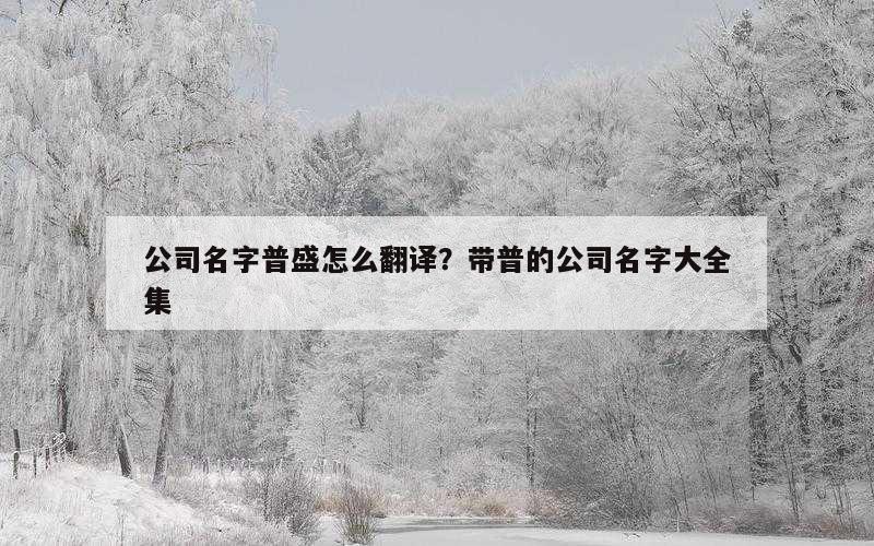 公司名字普盛怎么翻译？带普的公司名字大全集