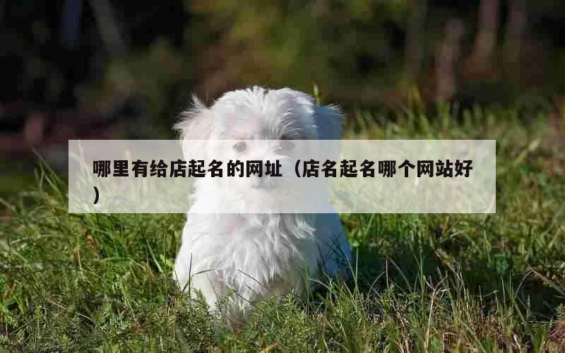 哪里有给店起名的网址（店名起名哪个网站好）