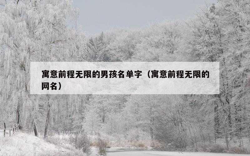 寓意前程无限的男孩名单字（寓意前程无限的网名）