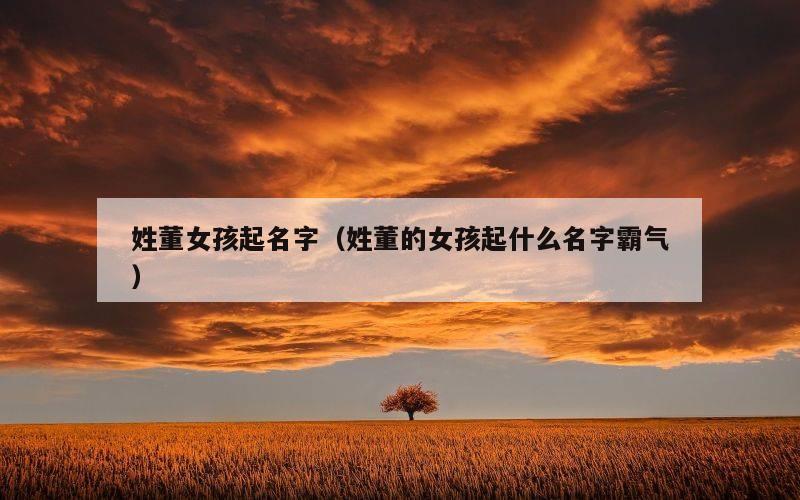 姓董女孩起名字（姓董的女孩起什么名字霸气）