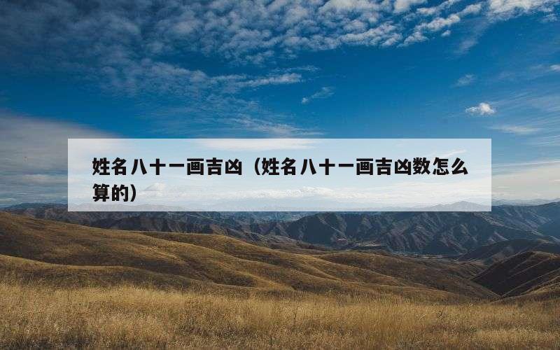姓名八十一画吉凶（姓名八十一画吉凶数怎么算的）