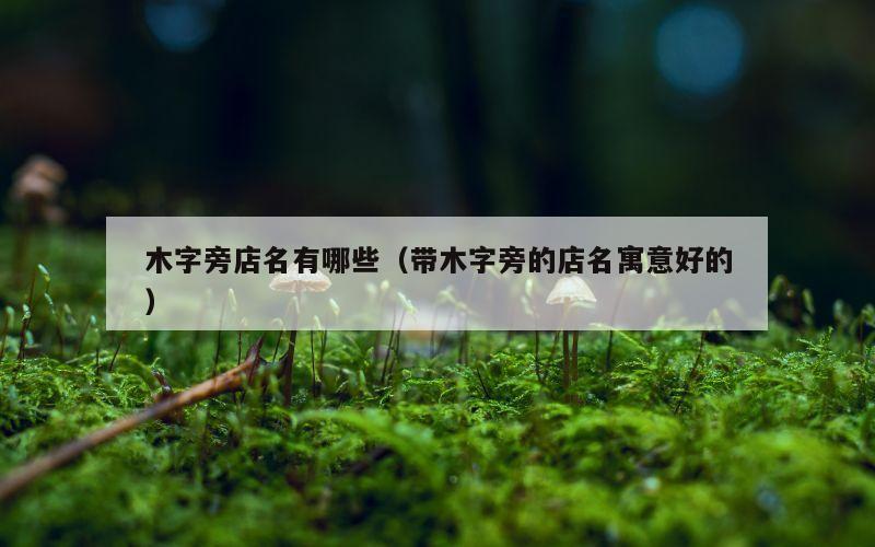 木字旁店名有哪些（带木字旁的店名寓意好的）