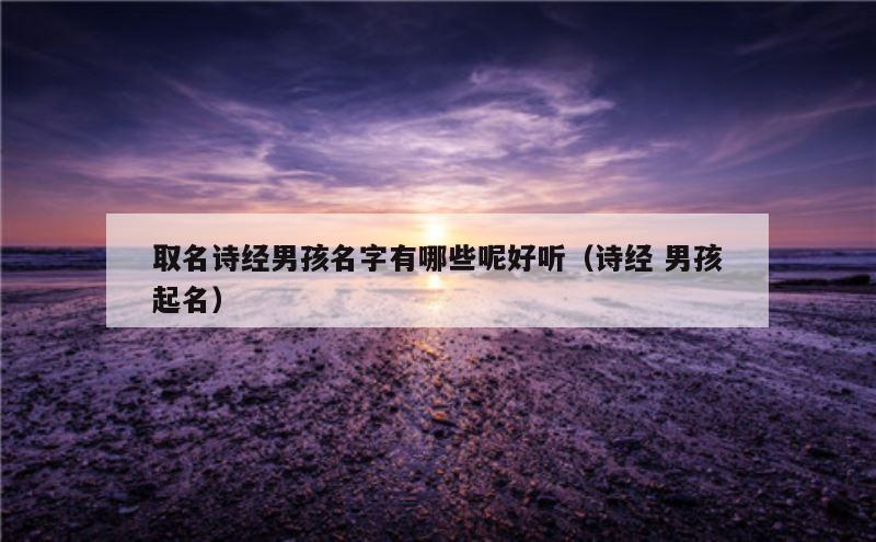 取名诗经男孩名字有哪些呢好听（诗经 男孩起名）