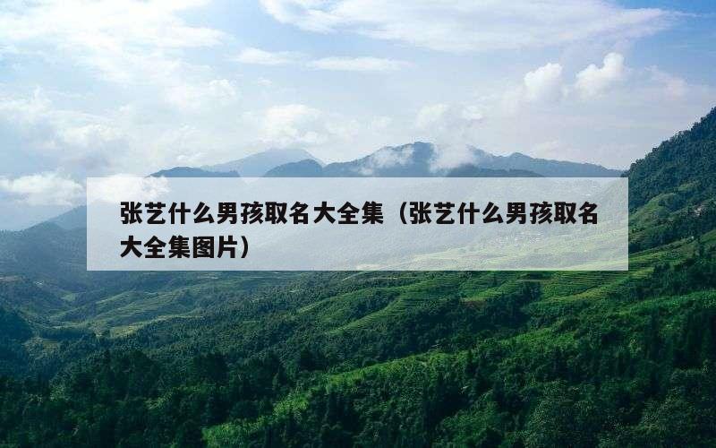 张艺什么男孩取名大全集（张艺什么男孩取名大全集图片）