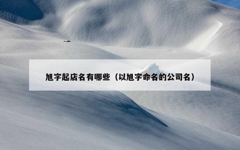 旭字起店名有哪些（以旭字命名的公司名）