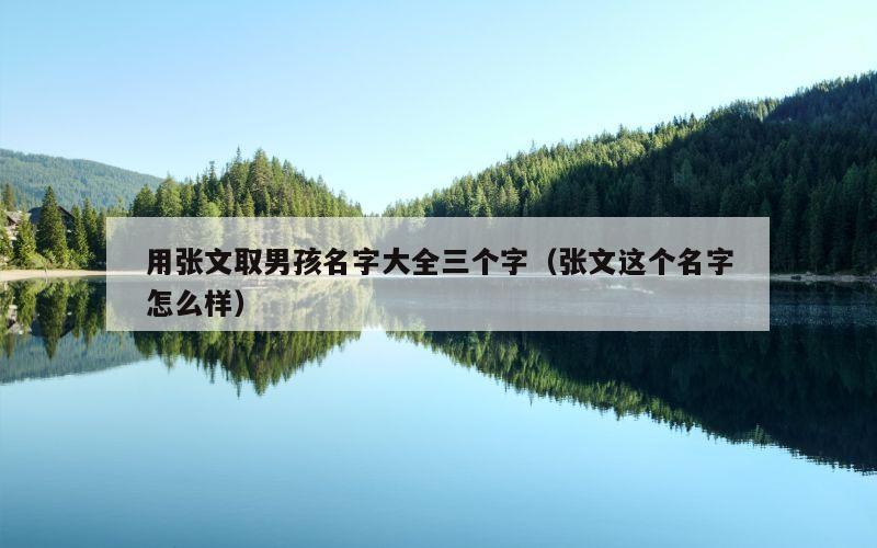 用张文取男孩名字大全三个字（张文这个名字怎么样）