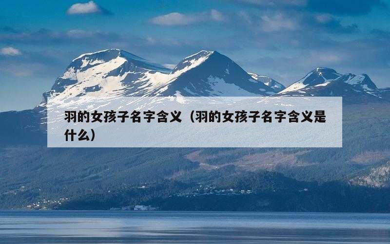 羽的女孩子名字含义（羽的女孩子名字含义是什么）