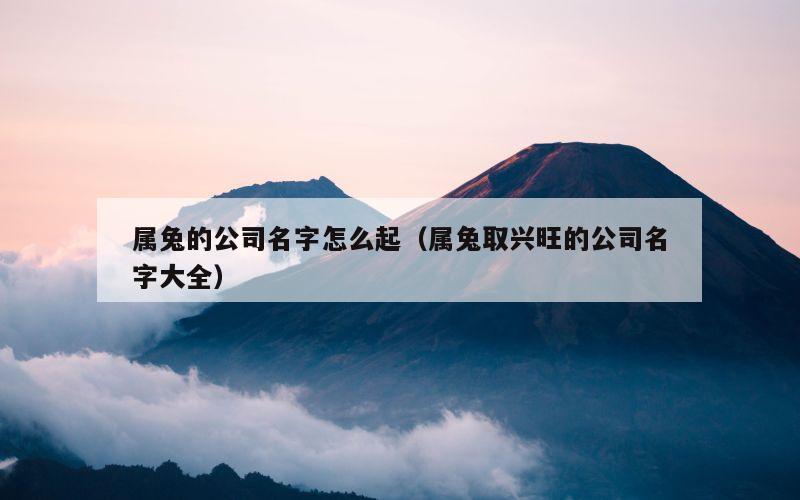 属兔的公司名字怎么起（属兔取兴旺的公司名字大全）