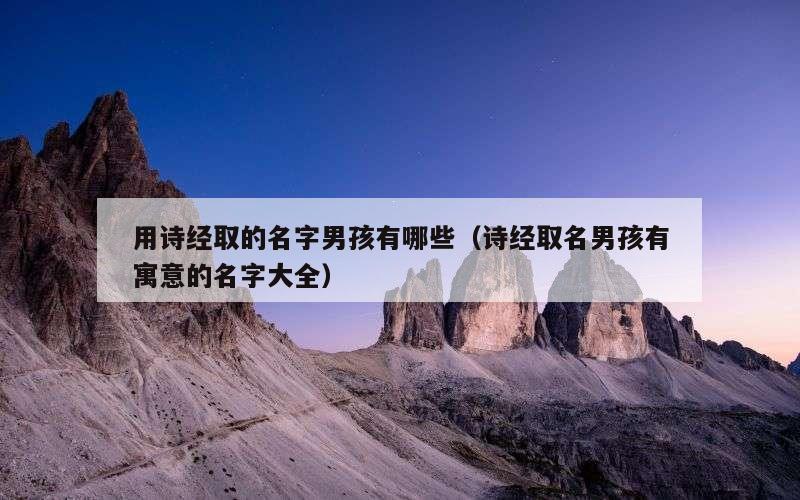 用诗经取的名字男孩有哪些（诗经取名男孩有寓意的名字大全）