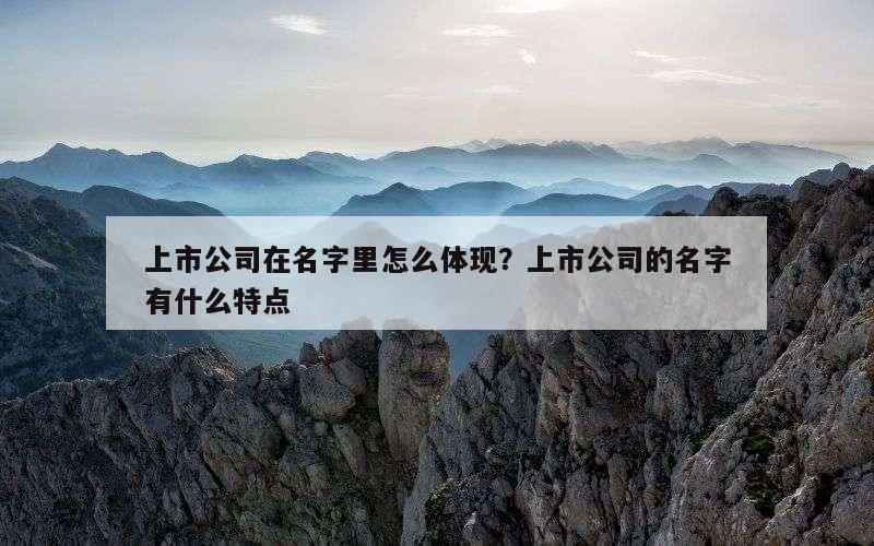 上市公司在名字里怎么体现？上市公司的名字有什么特点