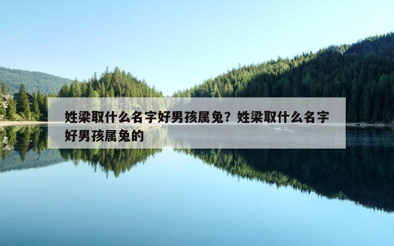 姓梁取什么名字好男孩属兔？姓梁取什么名字好男孩属兔的