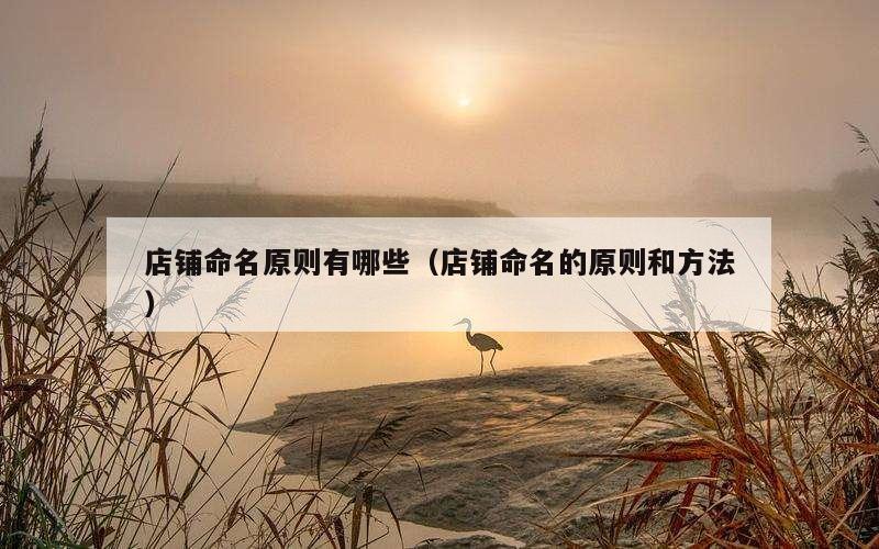 店铺命名原则有哪些（店铺命名的原则和方法）