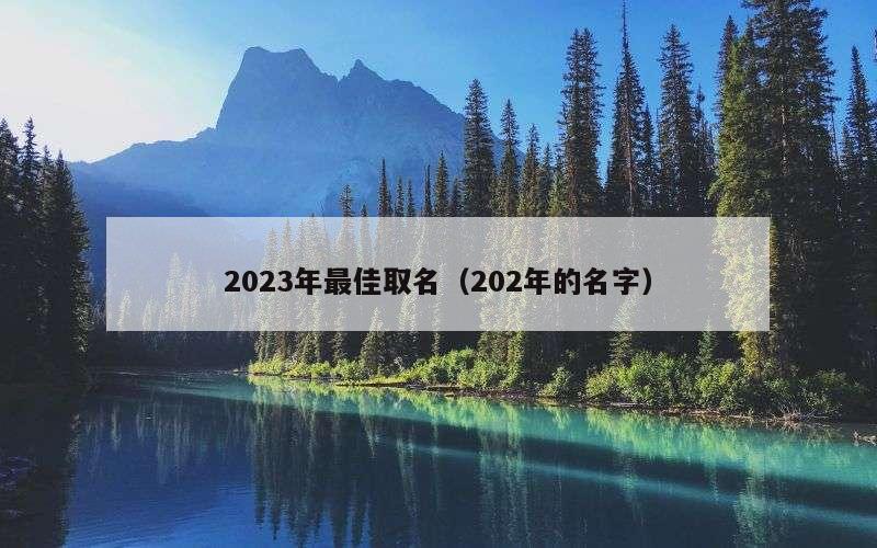2023年最佳取名（202年的名字）