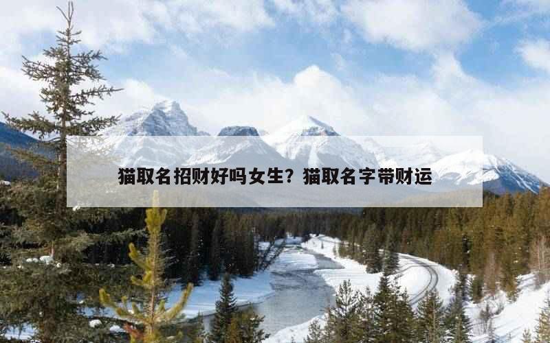 猫取名招财好吗女生？猫取名字带财运