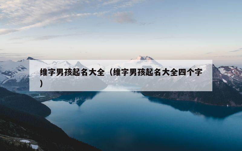 维字男孩起名大全（维字男孩起名大全四个字）