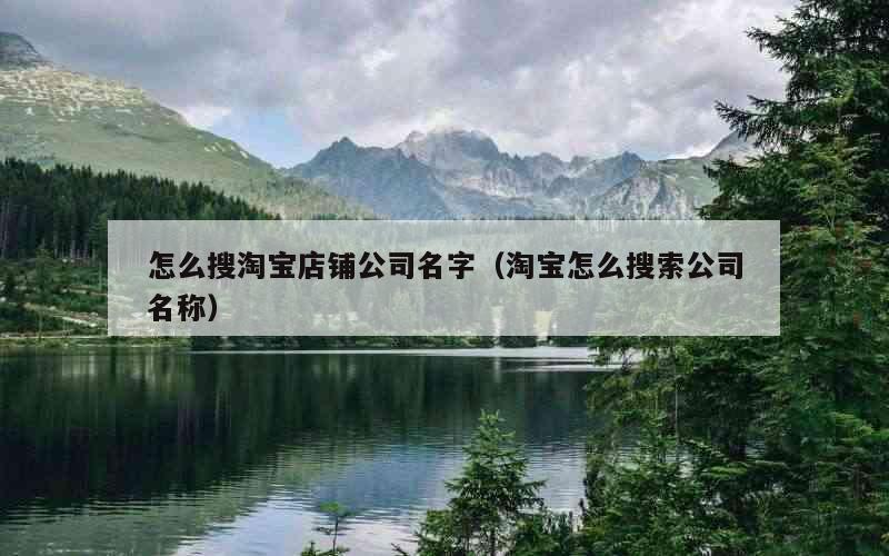怎么搜淘宝店铺公司名字（淘宝怎么搜索公司名称）