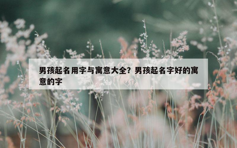 男孩起名用字与寓意大全？男孩起名字好的寓意的字