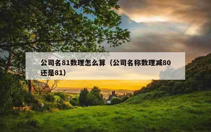 公司名81数理怎么算（公司名称数理减80还是81）