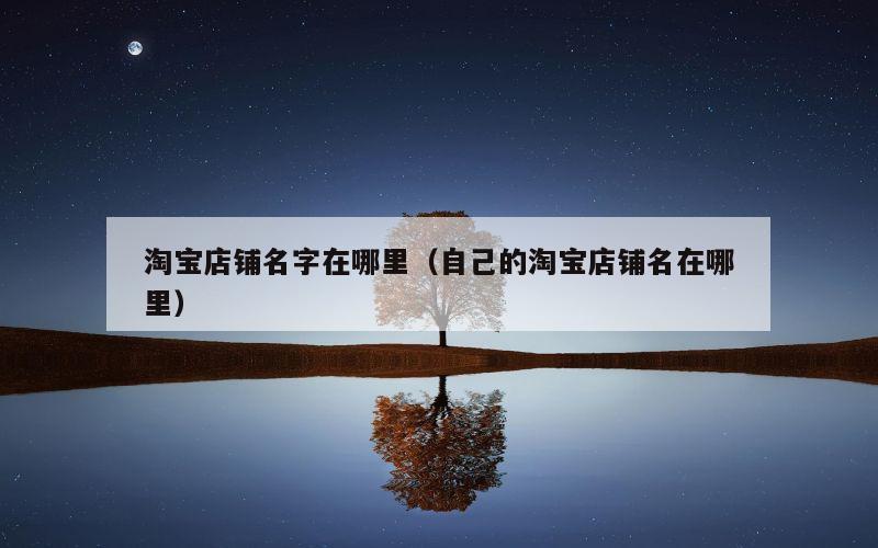 淘宝店铺名字在哪里（自己的淘宝店铺名在哪里）