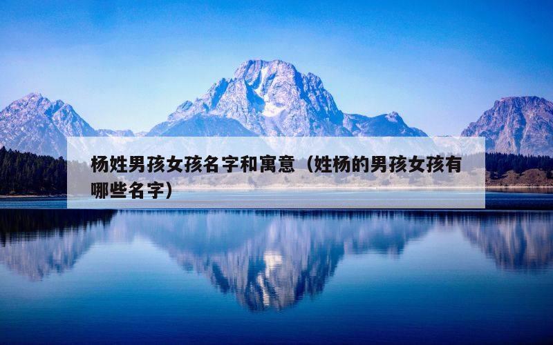 杨姓男孩女孩名字和寓意（姓杨的男孩女孩有哪些名字）