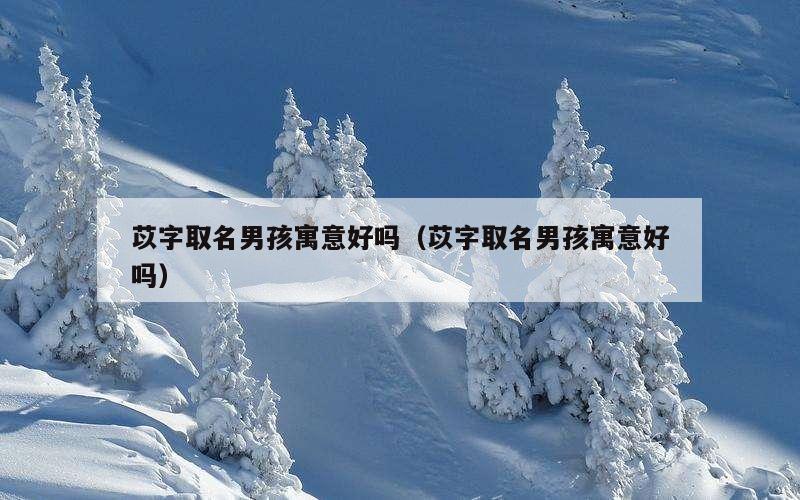 苡字取名男孩寓意好吗（苡字取名男孩寓意好吗）