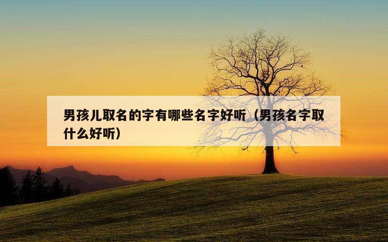 男孩儿取名的字有哪些名字好听（男孩名字取什么好听）