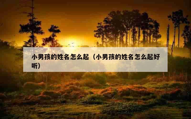 小男孩的姓名怎么起（小男孩的姓名怎么起好听）