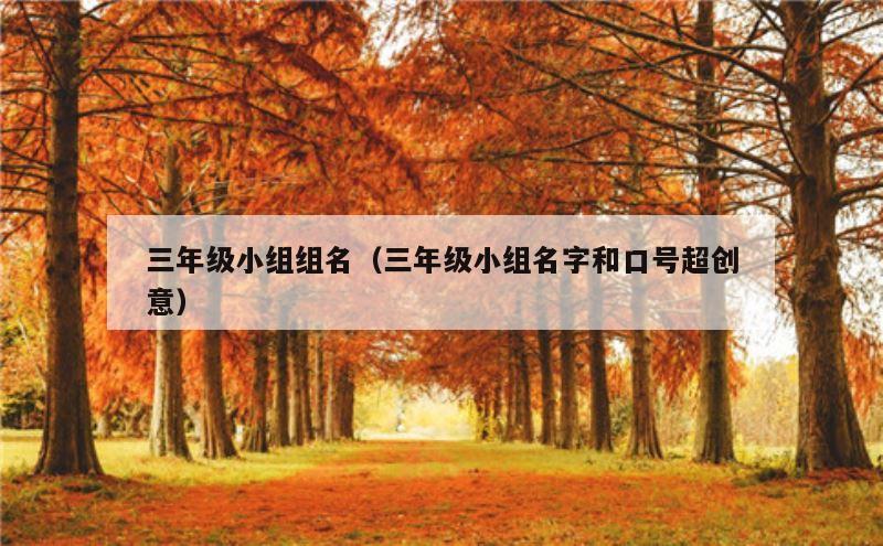 三年级小组组名（三年级小组名字和口号超创意）