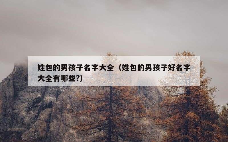 姓包的男孩子名字大全（姓包的男孩子好名字大全有哪些?）
