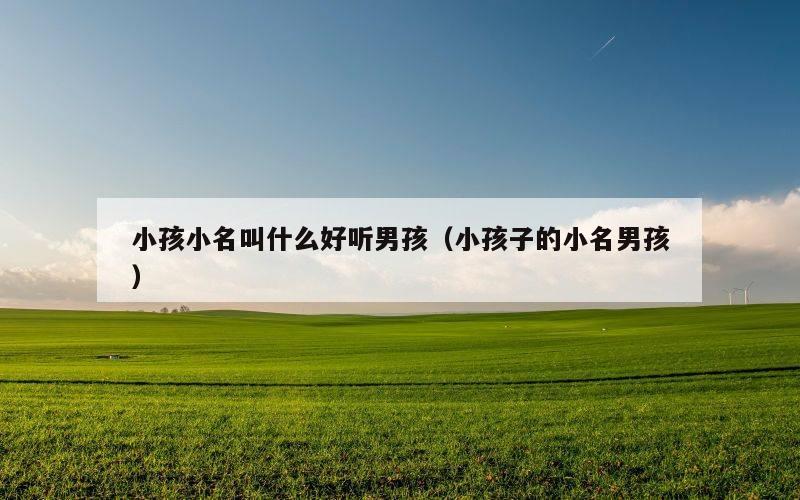 小孩小名叫什么好听男孩（小孩子的小名男孩）