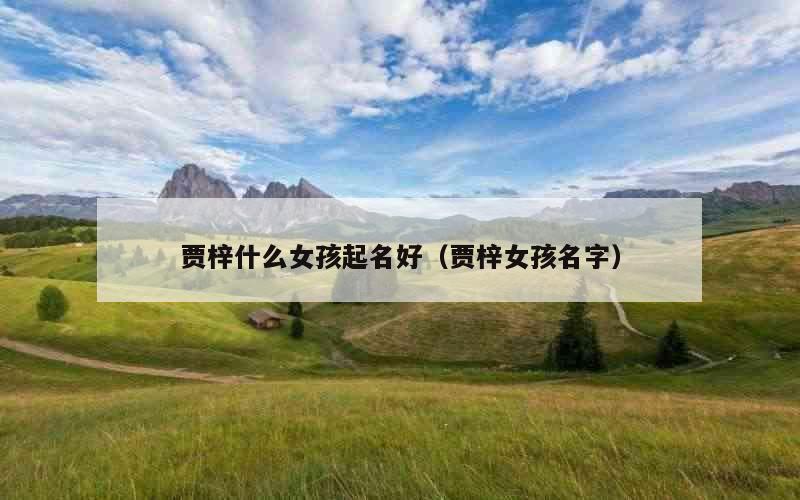 贾梓什么女孩起名好（贾梓女孩名字）