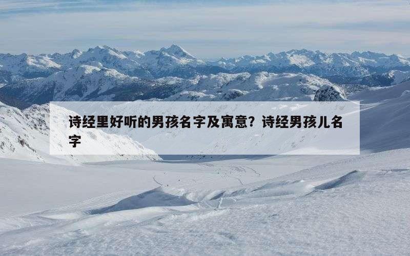 诗经里好听的男孩名字及寓意？诗经男孩儿名字