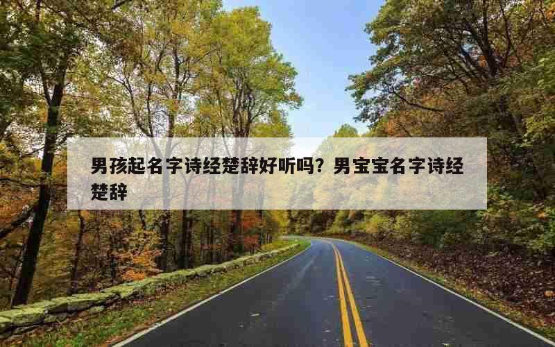 男孩起名字诗经楚辞好听吗？男宝宝名字诗经楚辞