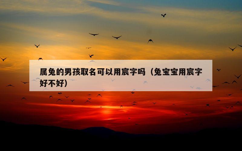 属兔的男孩取名可以用宸字吗（兔宝宝用宸字好不好）