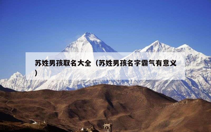 苏姓男孩取名大全（苏姓男孩名字霸气有意义）