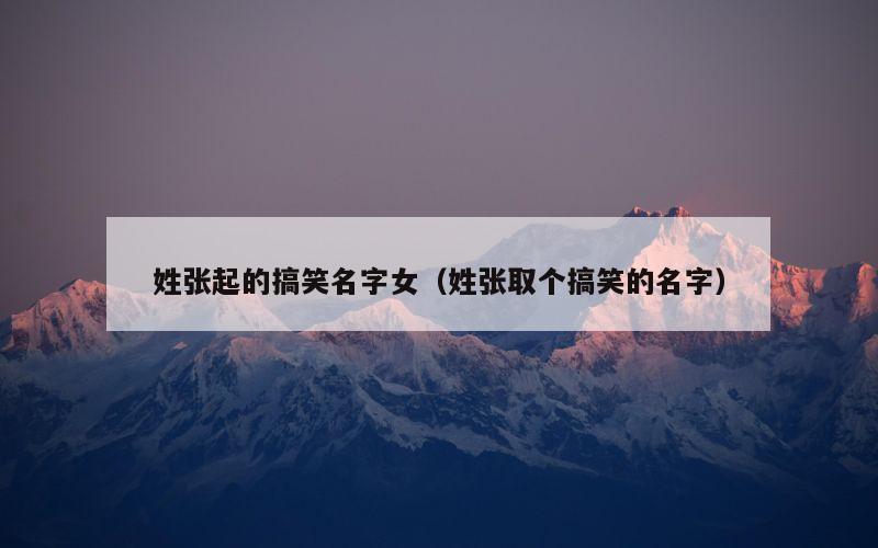 姓张起的搞笑名字女（姓张取个搞笑的名字）